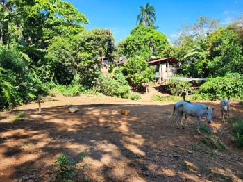 Terreno para Desarrollo en venta en San Isidro De El General, Pérez Zeledón, San José, Costa Rica — foto 2