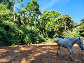 Terreno para Desarrollo en venta en San Isidro De El General, Pérez Zeledón, San José, Costa Rica — foto 5