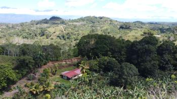 Finca para Agricultura en venta en Naranjo De Platanares, Pérez Zeledón, San José, Costa Rica — foto 2
