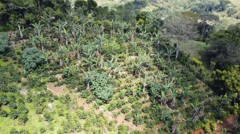Finca para Agricultura en venta en Naranjo De Platanares, Pérez Zeledón, San José, Costa Rica — foto 3