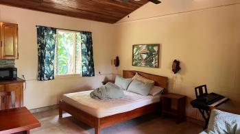 Hospitality for sale in Ojochal, Osa, Puntarenas, Costa Rica — photo 10