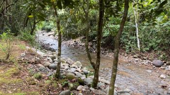 Hospitality for sale in Ojochal, Osa, Puntarenas, Costa Rica — photo 14