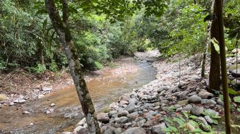 Hospitality for sale in Ojochal, Osa, Puntarenas, Costa Rica — photo 15