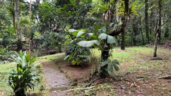 Hospitality for sale in Ojochal, Osa, Puntarenas, Costa Rica — photo 17