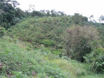 Terreno General en venta en La Manchuria, Coto Brus, Puntarenas, Costa Rica — foto 3