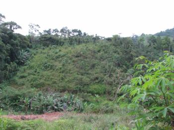 Terreno General en venta en La Manchuria, Coto Brus, Puntarenas, Costa Rica — foto 4