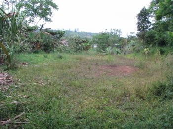Terreno General en venta en La Manchuria, Coto Brus, Puntarenas, Costa Rica — foto 5