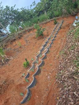 Terreno Para Vivienda en venta en Ojo De Agua, Pérez Zeledón, San José, Costa Rica — foto 5