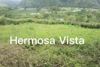 Fincas Uso Mixto en venta en Orosi,Palomo, Paraíso, Cartago, Costa Rica — foto 3