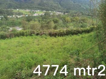 Fincas Uso Mixto en venta en Orosi,Palomo, Paraíso, Cartago, Costa Rica — foto 4