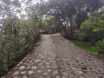 Casa una Planta en venta en Orosi, Palomo, Paraíso, Cartago, Costa Rica — foto 3