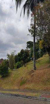 Terreno Para Vivienda en venta en Residencial Montealegre, La Unión, Cartago, Costa Rica — foto 2