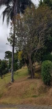 Terreno Para Vivienda en venta en Residencial Montealegre, La Unión, Cartago, Costa Rica — foto 4