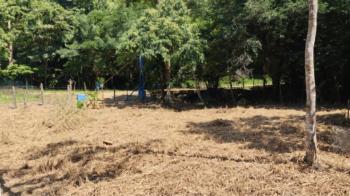 Terreno Para Vivienda en venta en Pilar, Pérez Zeledón, San José, Costa Rica — foto 4