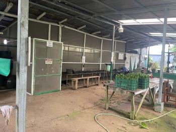 Fincas Uso Mixto en venta en Alegría, Siquirres, Limón, Costa Rica — foto 6