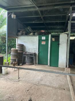 Fincas Uso Mixto en venta en Alegría, Siquirres, Limón, Costa Rica — foto 7