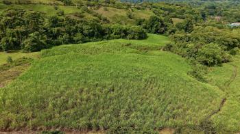 Terreno General en venta en General Viejo, Pérez Zeledón, San José, Costa Rica — foto 3