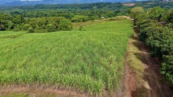 Terreno General en venta en General Viejo, Pérez Zeledón, San José, Costa Rica — foto 4