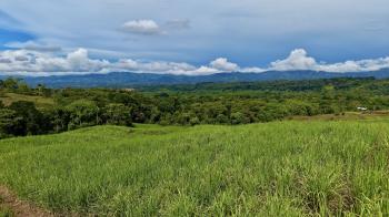 Fincas Uso Mixto en venta en General Viejo, Pérez Zeledón, San José, Costa Rica — foto 3