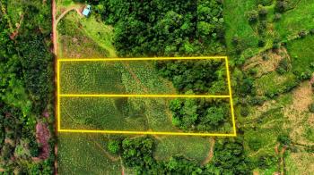 Fincas Uso Mixto en venta en General Viejo, Pérez Zeledón, San José, Costa Rica — foto 7