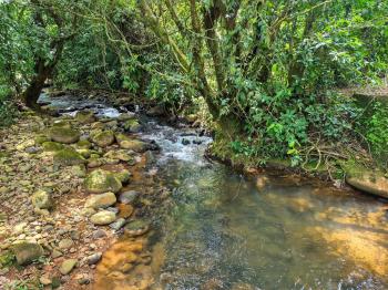 Finca para Agricultura en venta en El Quemado, Cajon, Pérez Zeledón, San José, Costa Rica — foto 3