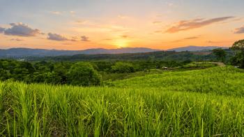 Sale of a 2.5 ha Natural Retreat in General Viejo, Perez Zeledon: Ready to co