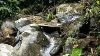 Terreno General en venta en General Viejo, Pérez Zeledón, San José, Costa Rica — foto 2