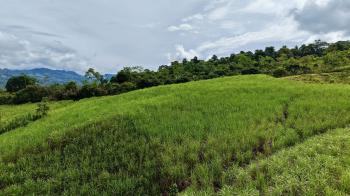 Terreno General en venta en General Viejo, Pérez Zeledón, San José, Costa Rica — foto 3