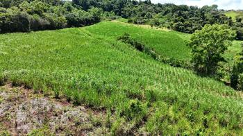Terreno General en venta en General Viejo, Pérez Zeledón, San José, Costa Rica — foto 4