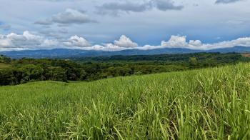 Terreno General en venta en General Viejo, Pérez Zeledón, San José, Costa Rica — foto 5