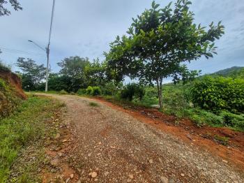 Mixed Use Land for sale in Quebradas, Pérez Zeledón, San José, Costa Rica — photo 4