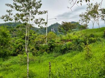 Terreno Para Vivienda en venta en Quebradas, Pérez Zeledón, San José, Costa Rica — foto 3