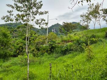 Terreno Para Vivienda en venta en Quebradas, Pérez Zeledón, San José, Costa Rica — foto 2
