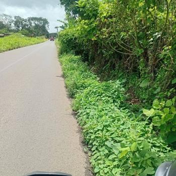 Terreno Comercial en venta en La Fortuna, San Carlos, Alajuela, Costa Rica — foto 2