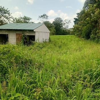 Terreno Comercial en venta en La Fortuna, San Carlos, Alajuela, Costa Rica — foto 3