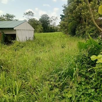 Terreno Comercial en venta en La Fortuna, San Carlos, Alajuela, Costa Rica — foto 4