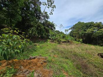 Mixed Use Land for sale in Alto San Juan, Pérez Zeledón, San José, Costa Rica — photo 6