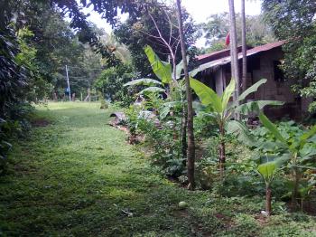 Fincas Uso Mixto en venta en Guadalupe De San Rafael, Esparza, Puntarenas, Costa Rica — foto 7