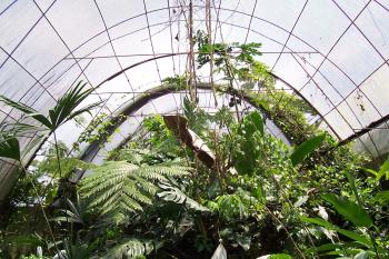 Uso Mixto en venta en La Fortuna Volcan Arenal, San Ramón, Alajuela, Costa Rica — foto 5