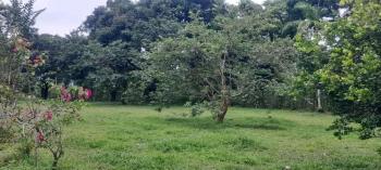 Terreno General en venta en San Isidro De Peñas Blancas, San Ramón, Alajuela, Costa Rica — foto 1