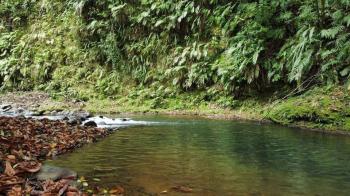 Terreno General en venta en San Isidro De Peñas Blancas, San Ramón, Alajuela, Costa Rica — foto 3