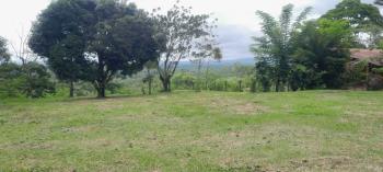 Terreno General en venta en San Isidro De Peñas Blancas, San Ramón, Alajuela, Costa Rica — foto 4