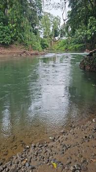 Terreno Comercial en venta en La Fortuna, San Carlos, Alajuela, Costa Rica — foto 4