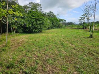 Terreno Comercial en venta en La Fortuna, San Carlos, Alajuela, Costa Rica — foto 5
