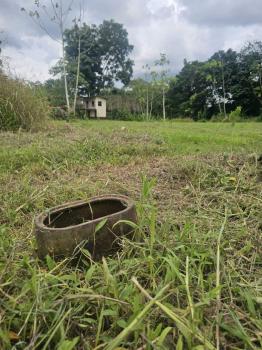 Terreno Comercial en venta en La Fortuna, San Carlos, Alajuela, Costa Rica — foto 6