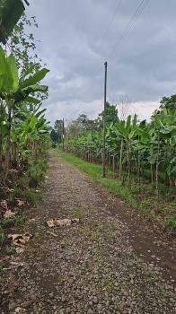 Terreno Comercial en venta en La Fortuna, San Carlos, Alajuela, Costa Rica — foto 7