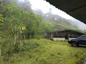 Finca para Ganadería en venta en Guaycara, Coto Brus, Puntarenas, Costa Rica — foto 3