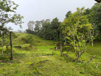 Finca para Ganadería en venta en Guaycara, Coto Brus, Puntarenas, Costa Rica — foto 4