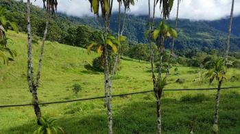Finca para Ganadería en venta en Guaycara, Coto Brus, Puntarenas, Costa Rica — foto 5
