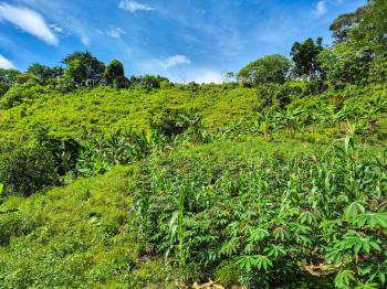 Finca para Agricultura en venta en San Carlos De La Amistad, Pérez Zeledón, San José, Costa Rica — foto 2